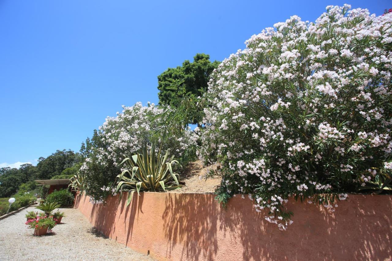 Ca' La Stella Sea-View Apartments Porto Azzurro Zewnętrze zdjęcie